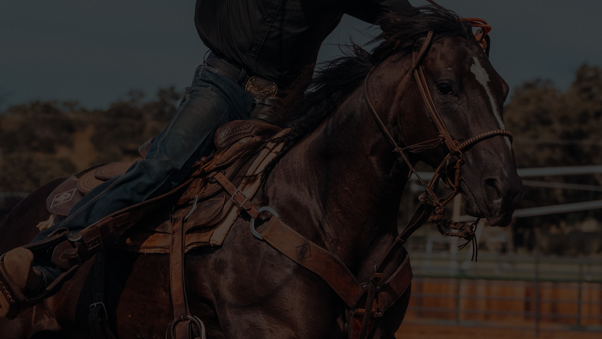CONTACT RELIANCE RANCHES – Reliance Ranches